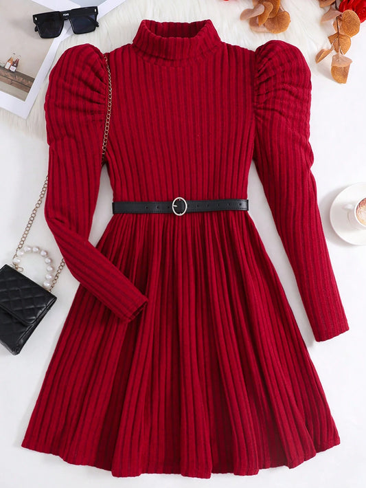 Teen Girls High Neck Long Sleeve Ribbed Fitted A-Line Knit Dress