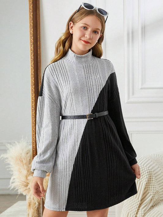 Teen Girls' Black & Gray Color Block Splicing Textured Ribbed Knit Elegant Retro Commuter Loose Casual Turtleneck Long Sleeve Dress